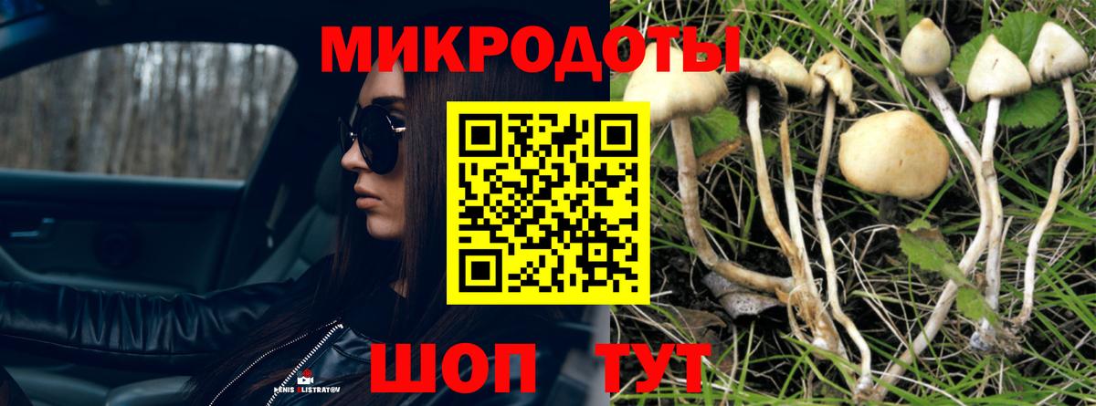 Псилоцибиновые грибы мицелий  Псилоцибиновые грибы мухоморы  Обнинск  Вход с VPN 